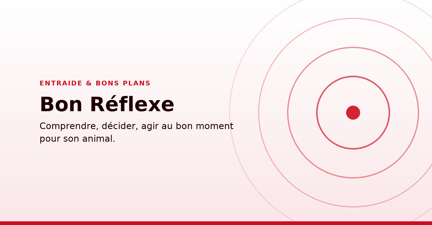 Bon Réflexe